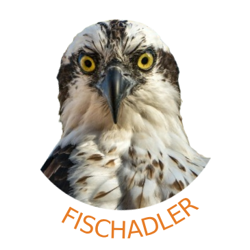 Livecam Fischadler