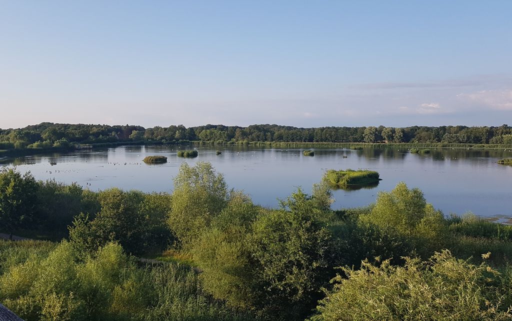 Seichtwasssersee in den Rieselfeldern Münster, 2020-07, Thomas Griesohn-Pflieger 