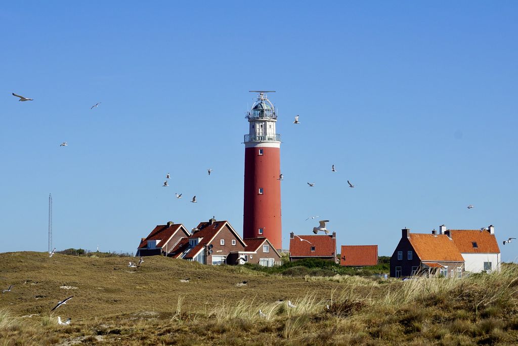 Leuchtturm im Norden, Texel, o. Monat, pixabay.de