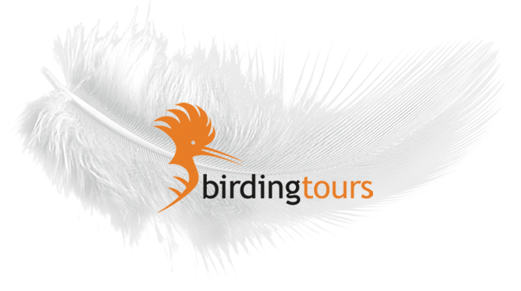 birdingtours