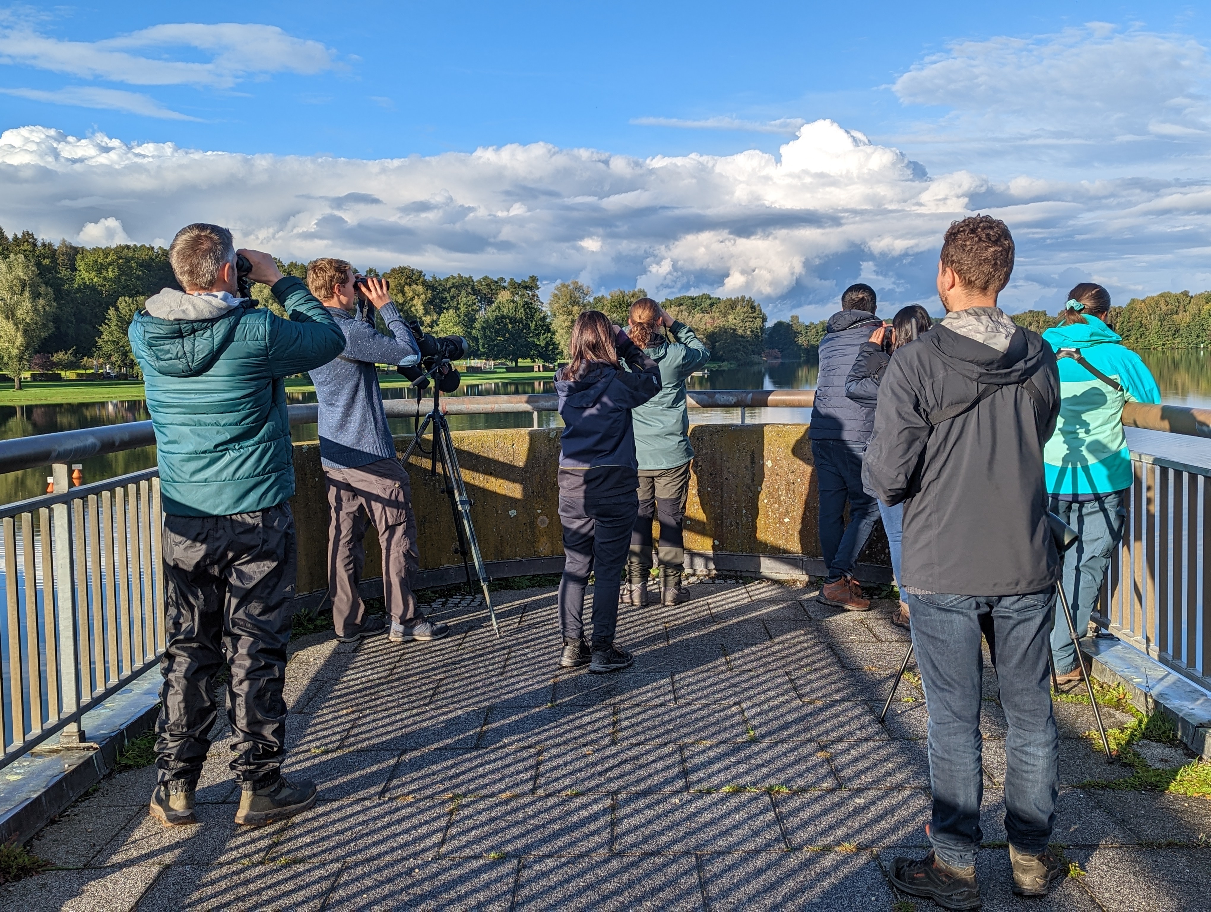 Gruppe bei der Vogelbeobachtung