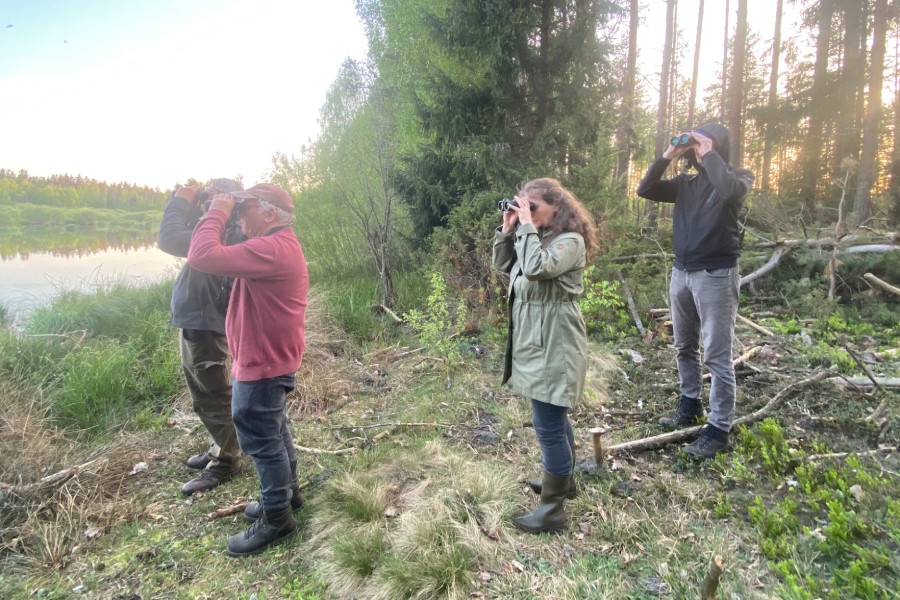 Gruppe von Vogelbeobachtern am Moor