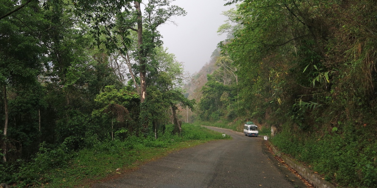 Vogelbeobachtung auf dem Weg nach Tingitibi, Bhutan Erkundung der Artenvielfalt beim Birding auf dem Weg nach Tingitibi in Bhutan