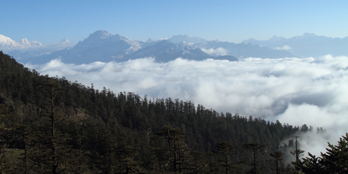Atemberaubende Aussicht auf Chelela im Himalaya, Bhutan Panoramablick auf die himmlischen Chelela-Berge in Bhutan, ideal für Vogelbeobachtungen