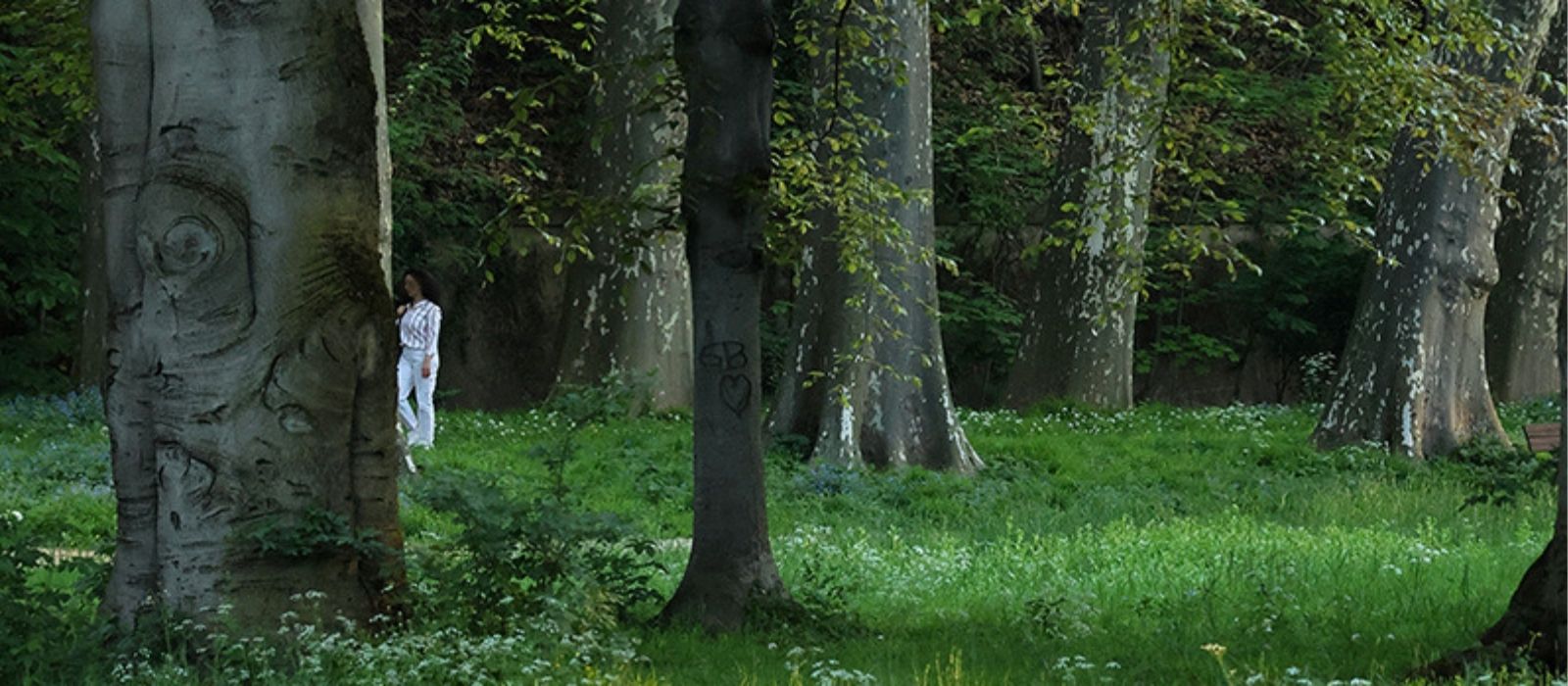 Wald im Schlossgarten Stuttgart im Frühling