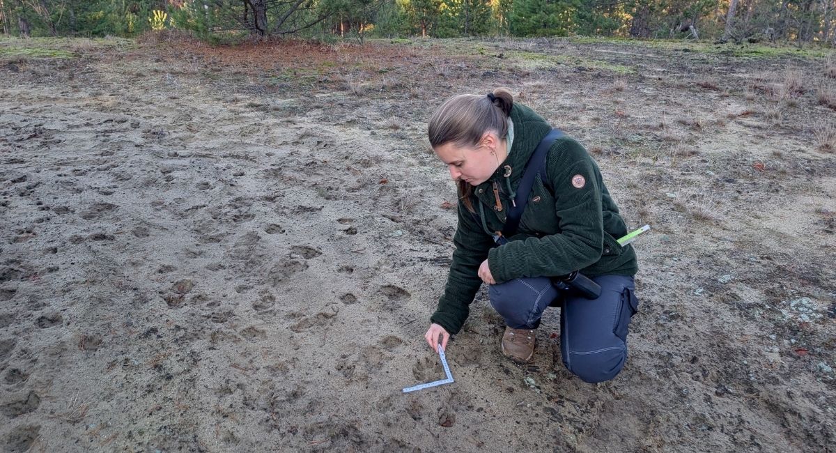 Ronja Schlosser bei der Arbeit im Gelände