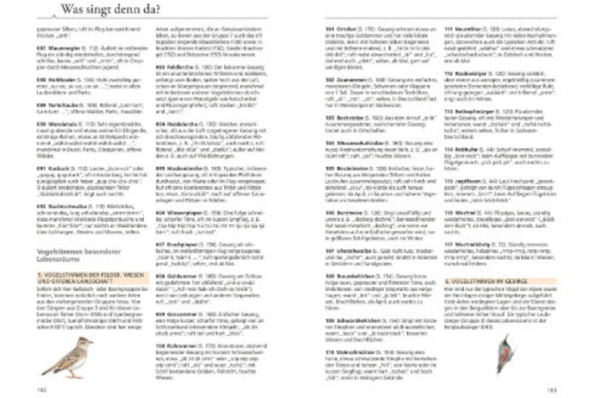 Kapitel: Was singt denn da?