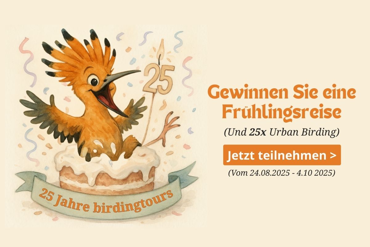 Gewinnspiel 25 Jahre birdingtours – Reise gewinnen