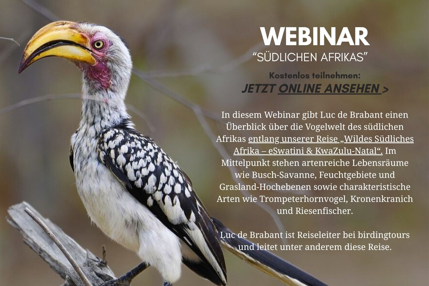 Webinar Südliches Afrika - eSwatini & KwaZulu-Natal