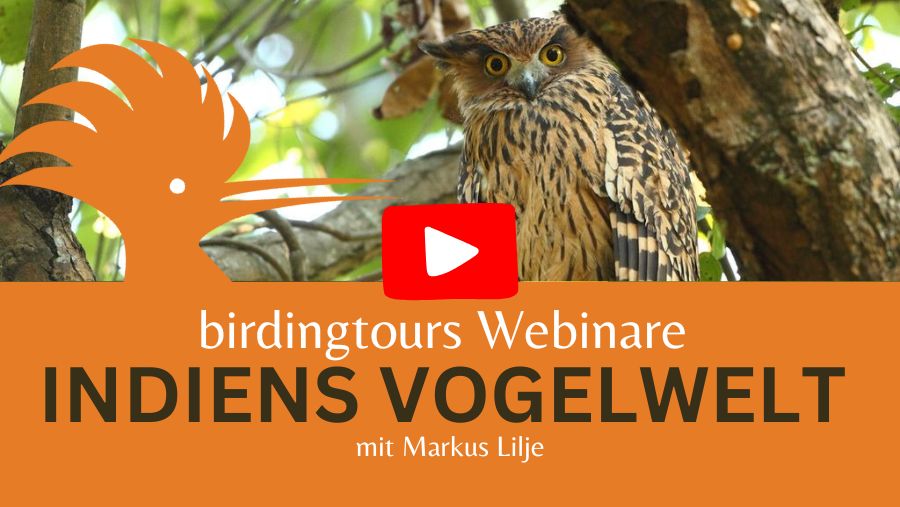 Indiens Vogelwelt Webinar Thumb