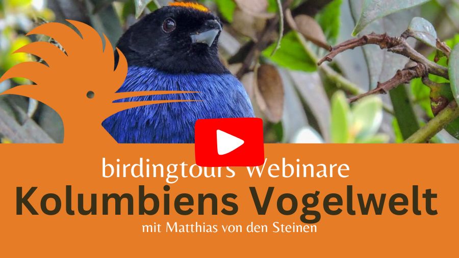 Webinar Kolumbiens Vogelwelt