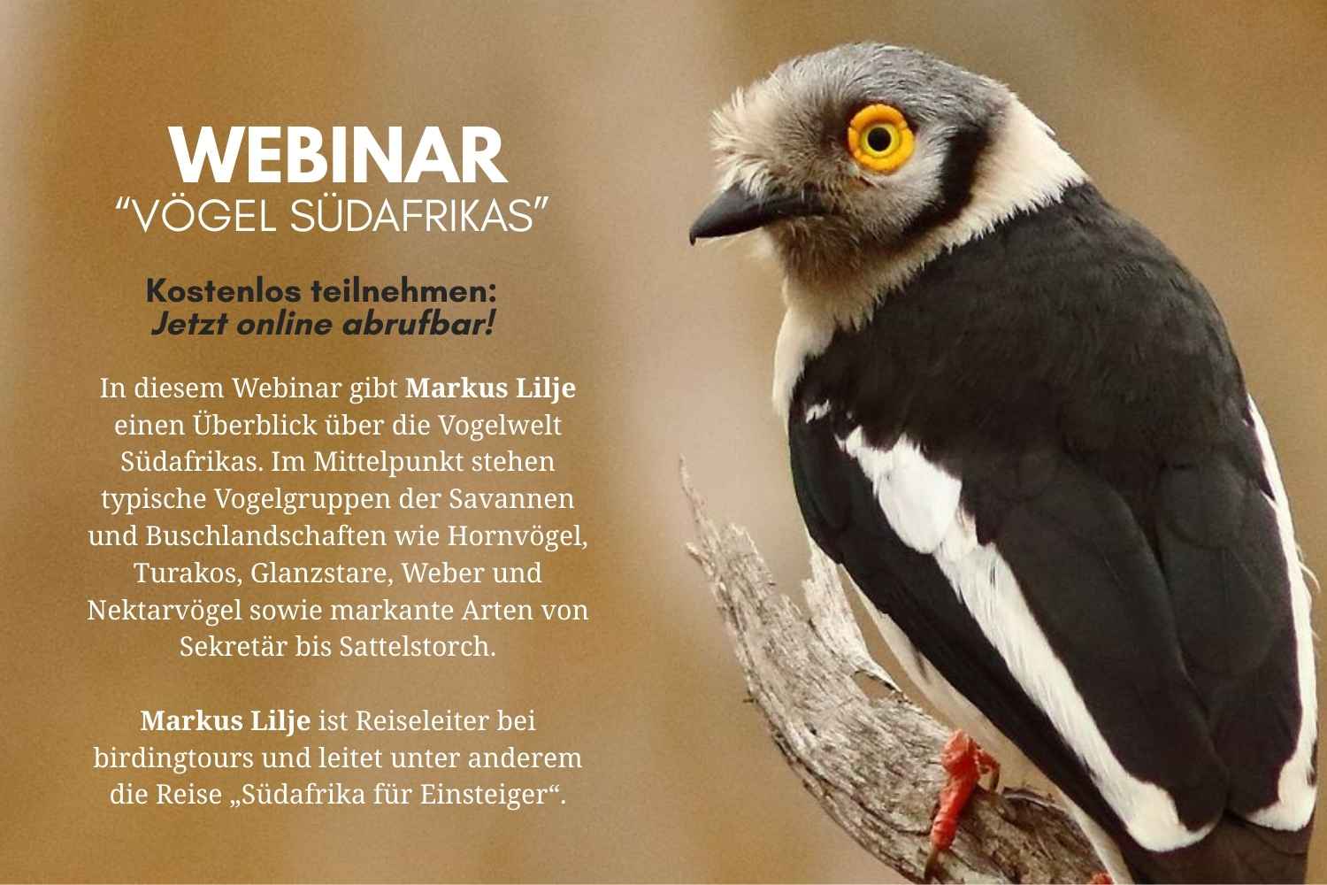 Neu: Südafrika Webinar