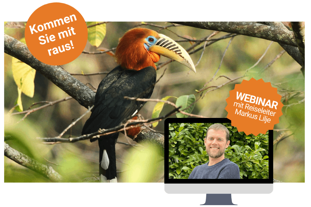 Vogelbeobachtungs-Webinar in Bhutan Ankündigung