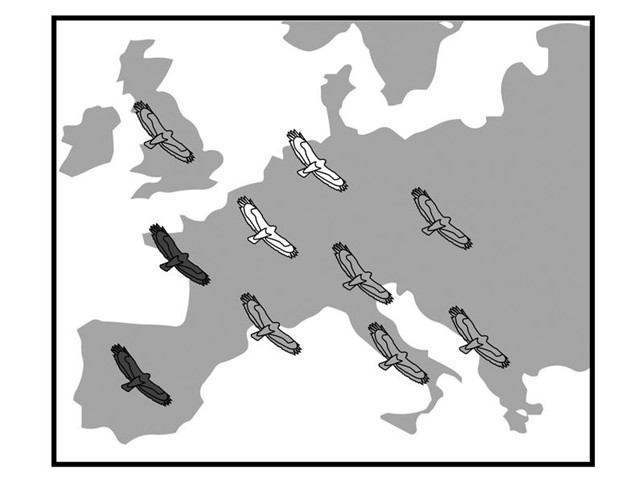 Copyright: © MPI für biologische Intelligenz / Kaspar Delhey