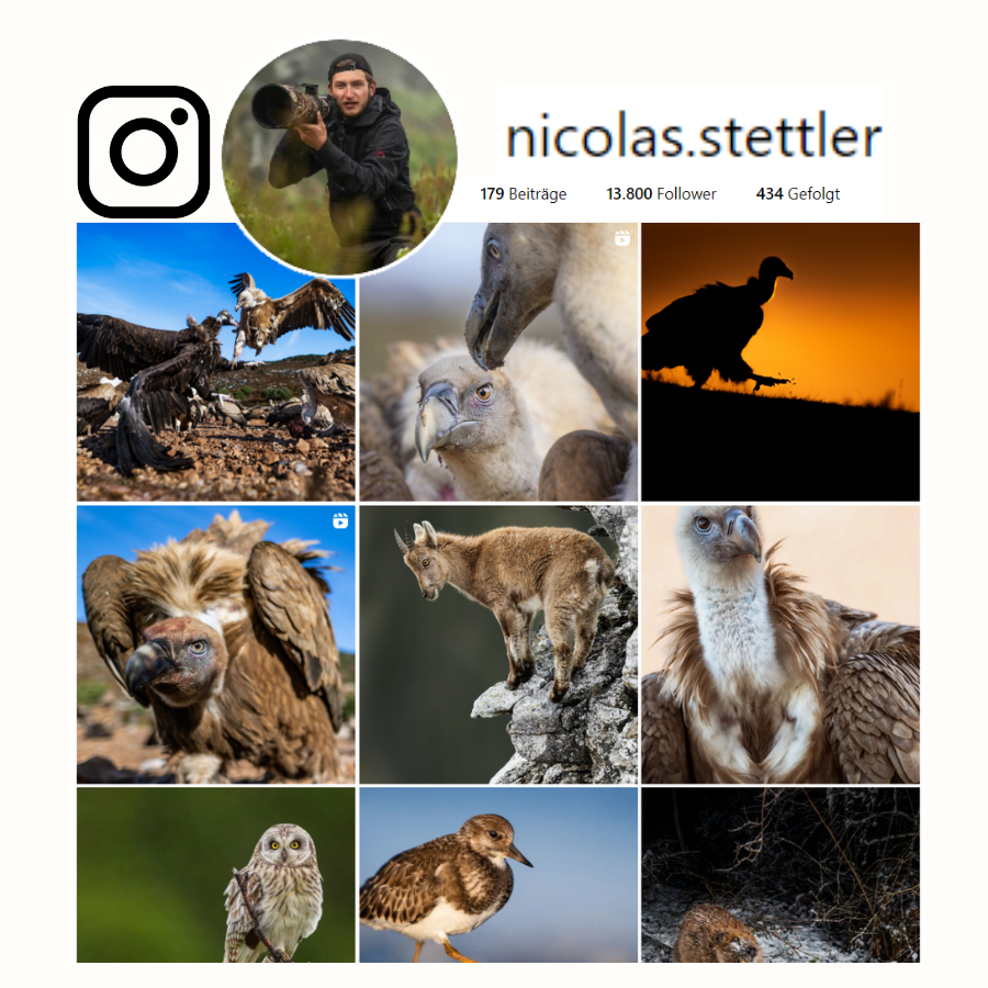 Nicolas Stettler