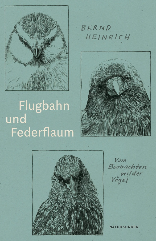 Buchcover vom Buch Flugbahn und Federflaum von Bernd Heinrich