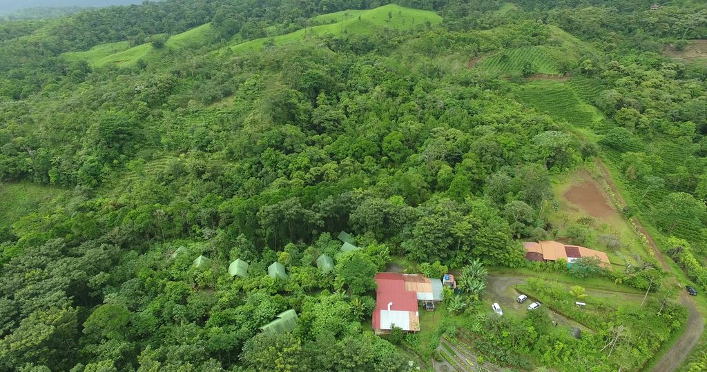 Projekt Bosque Reserva La Tigra Costa Rica Rainer Stoll