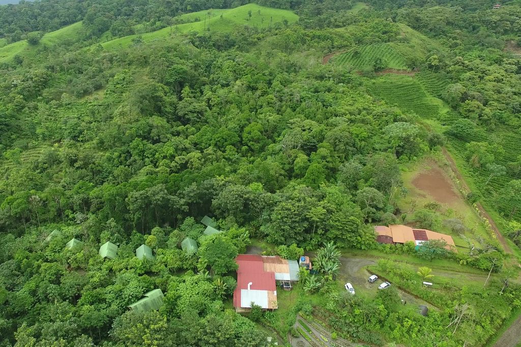 Projekt Bosque Reserva La Tigra Costa Rica Rainer Stoll