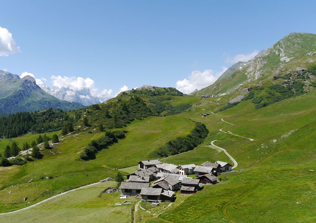 Grevasalvas Bergwiesen und Bergdorf Schweiz Andreas Kofler