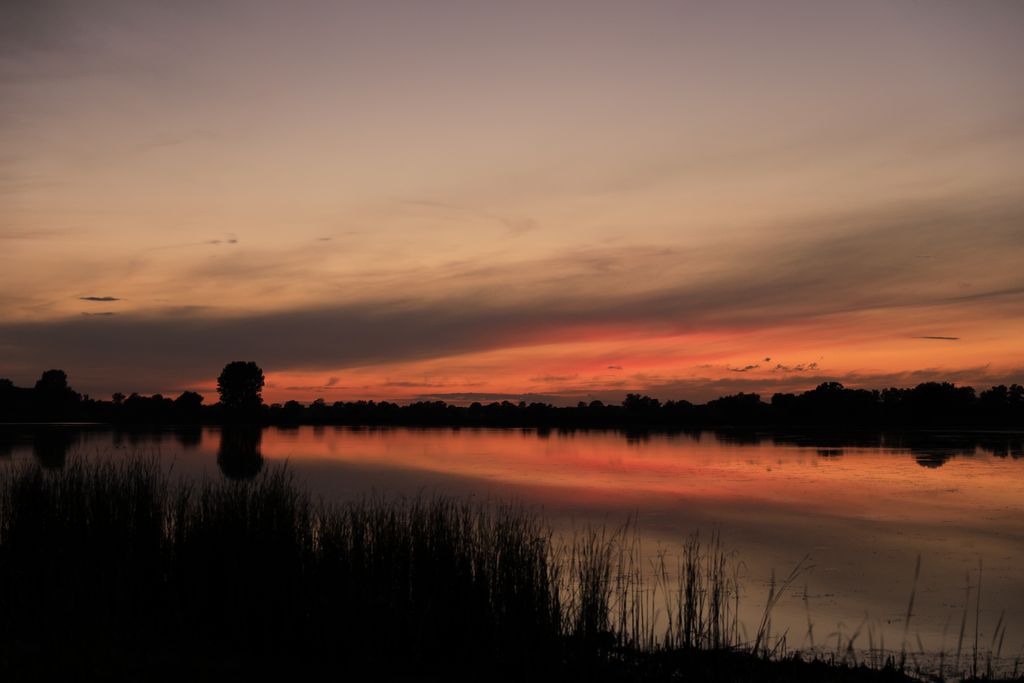 Teichlandschaft Lewitz (Bernd Grube)