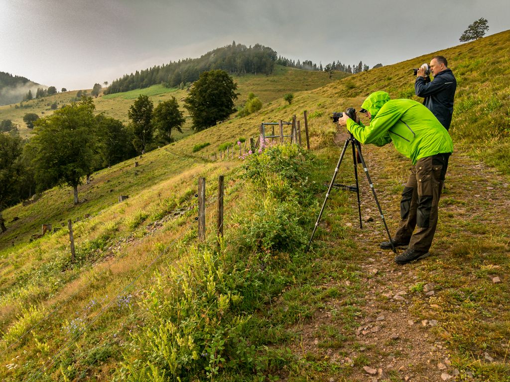 Menschen beim fotografieren im Schwarzwald