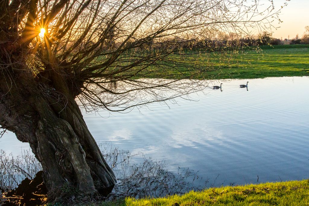 Düsseldorf (S. Schröder-Esch)