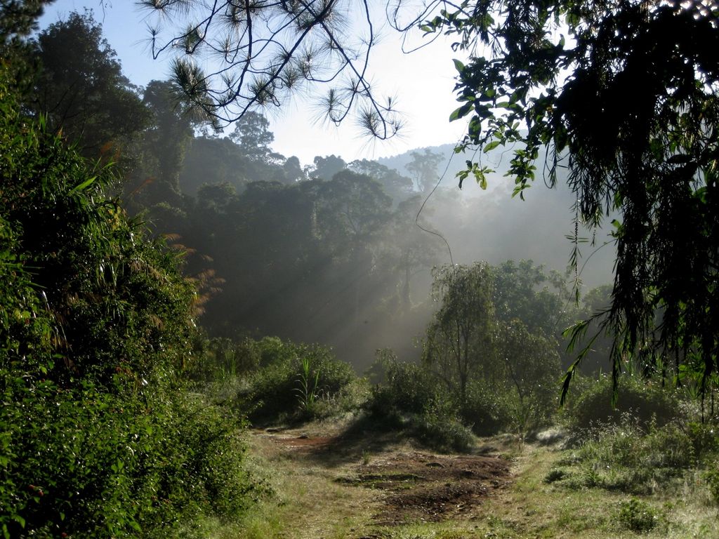 Ta Nung Tal bei Dalat Vietnam Florian Klingel