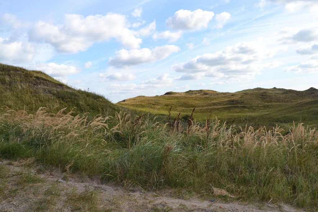 In den Dünen, Texel, o. Monat, pixabay.de