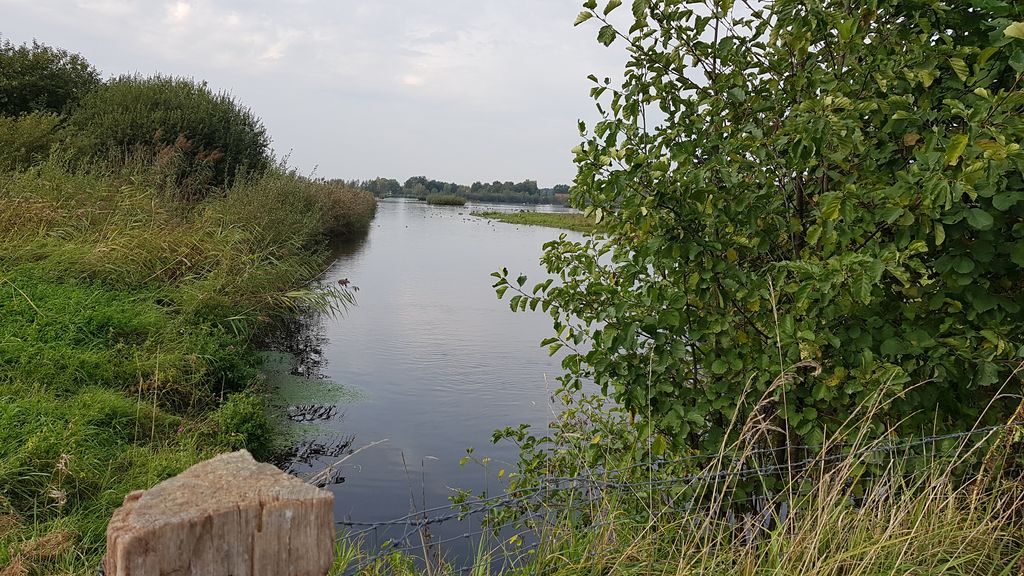 Vielfalt der Wasserflächen, 2018/09, Thomas Griesohn-Pflieger