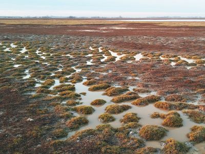 Salzlake bei Pusztaszer