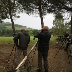 Italien Beobachtergruppe birdingtours Carlo Catoni