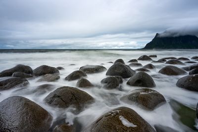 Lofoten-Küste in Norwegen