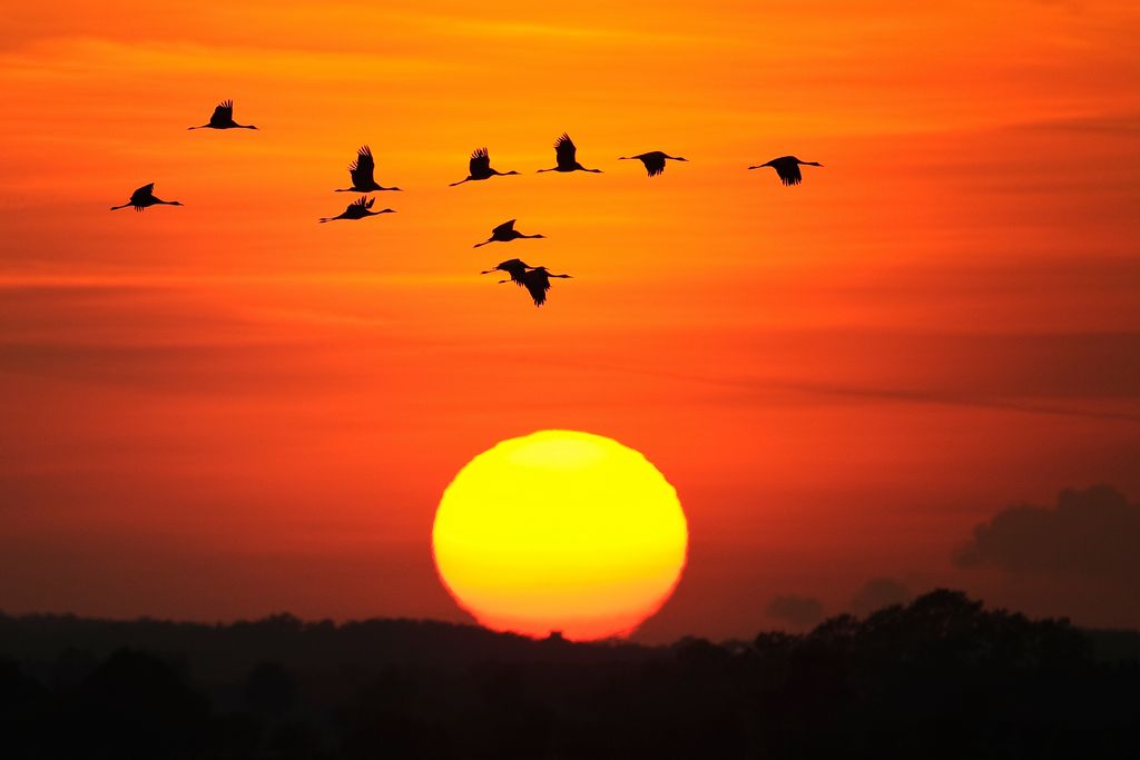 Rügens Küste im Sonnenuntergang (W. Rolfes)