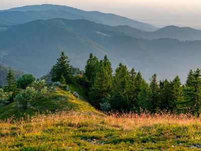 Abendstimmung im Schwarzwald