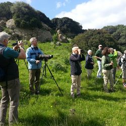 Beobachter Birder Christoph Hercher