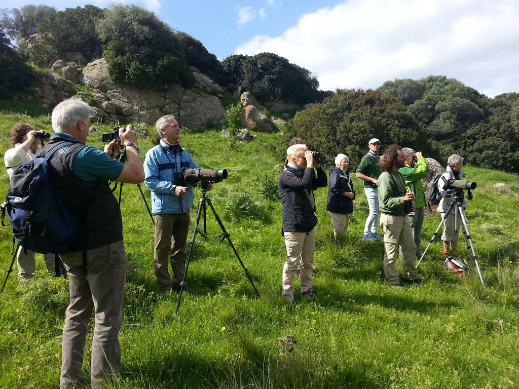 Beobachter Birder Christoph Hercher