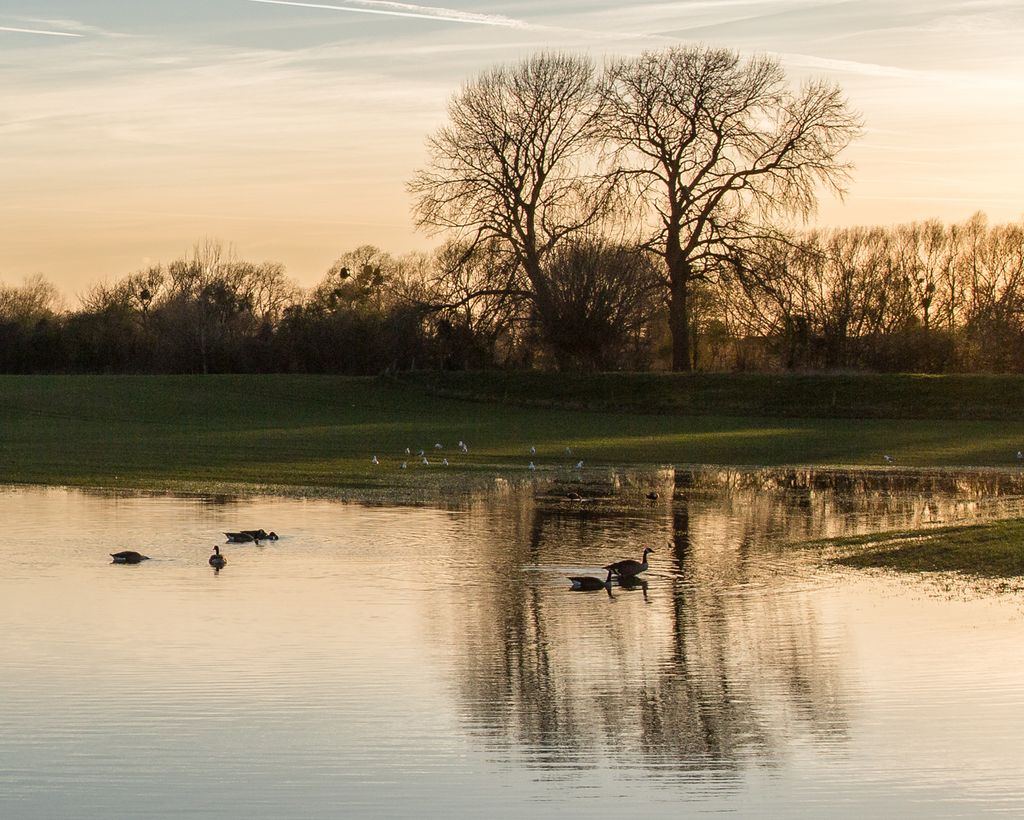 Düsseldorf (S. Schröder-Esch)