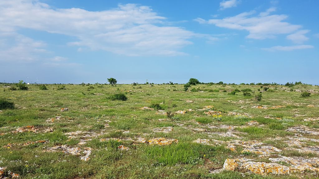 Steppe, Bulgarien, Mai 2018, Thomas Griesohn-Pflieger