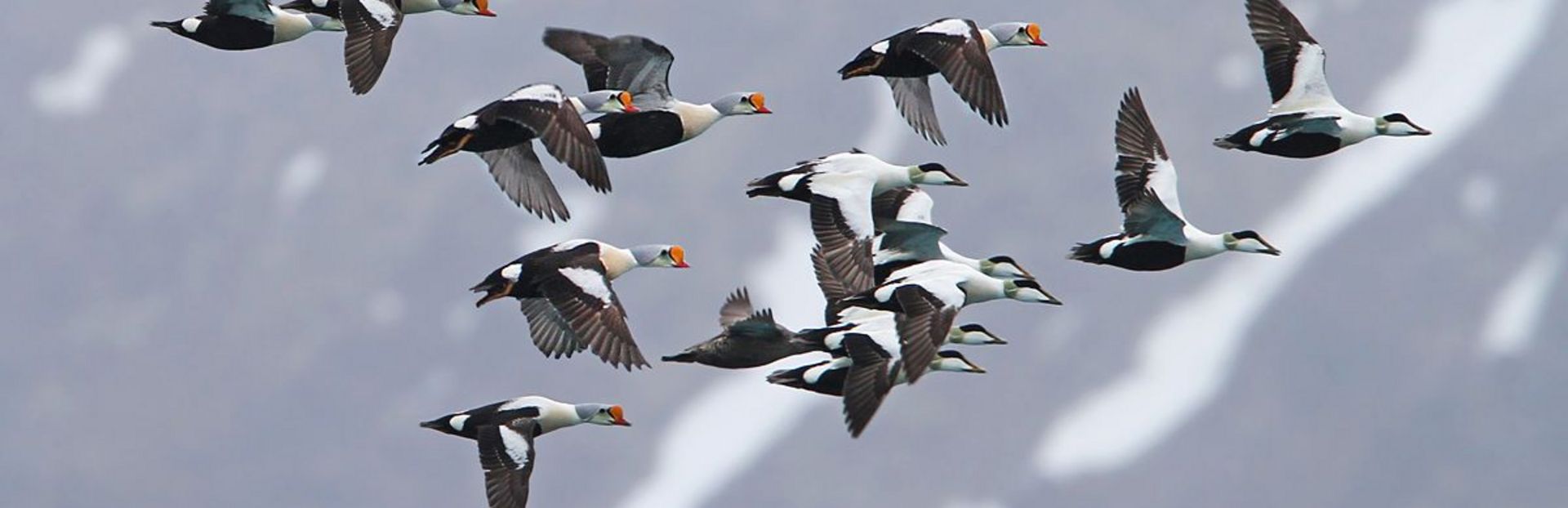 Spitzbergen