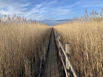 Feld in Schweden 