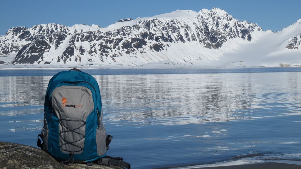 birdingtours-Rucksack Alex Hörber