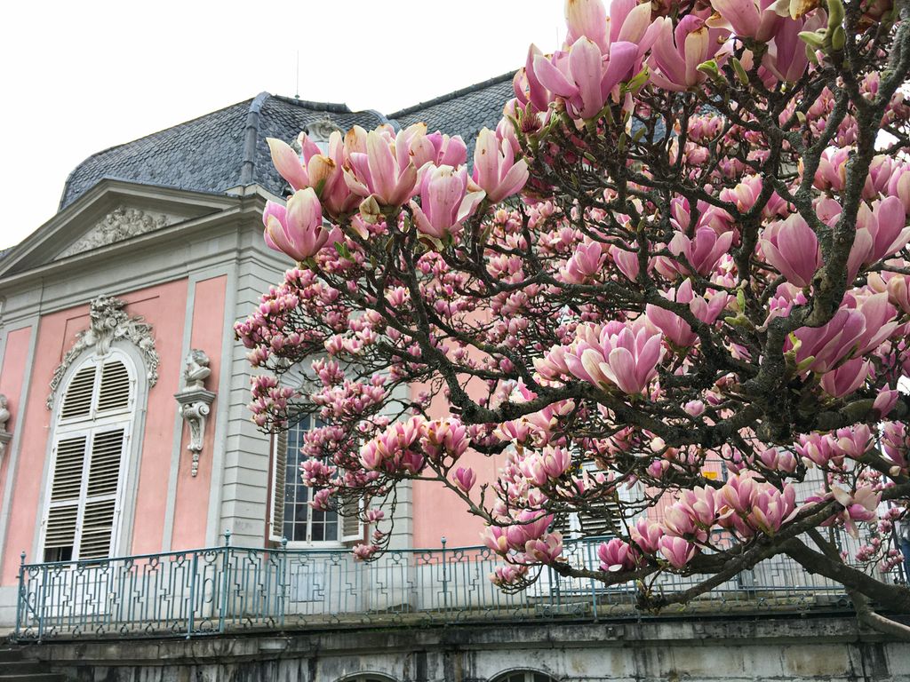Düsseldorf (S. Schröder-Esch)