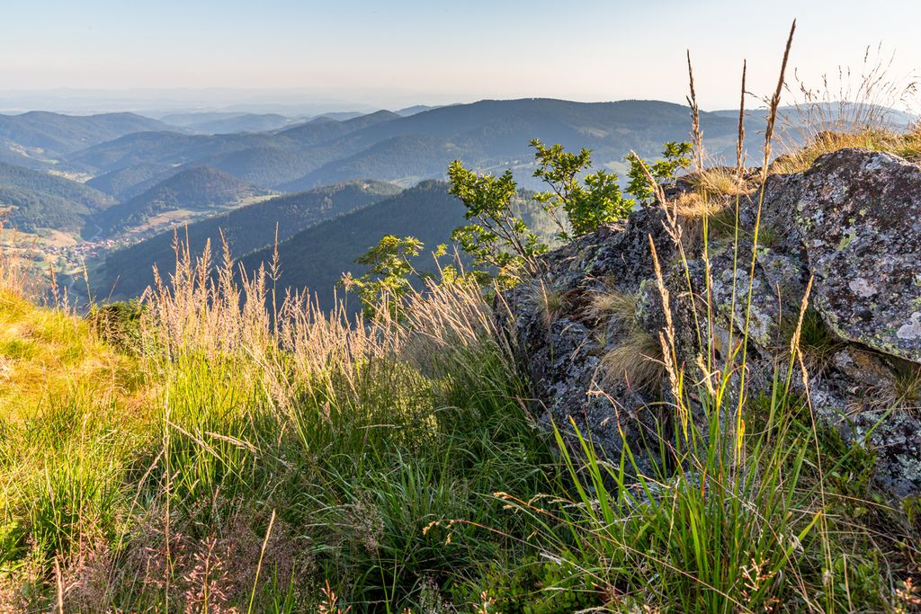 Berglandschaft im Schwarzwald