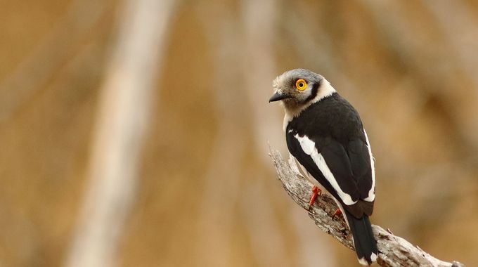 Südafrika Rundreise 2 Wochen