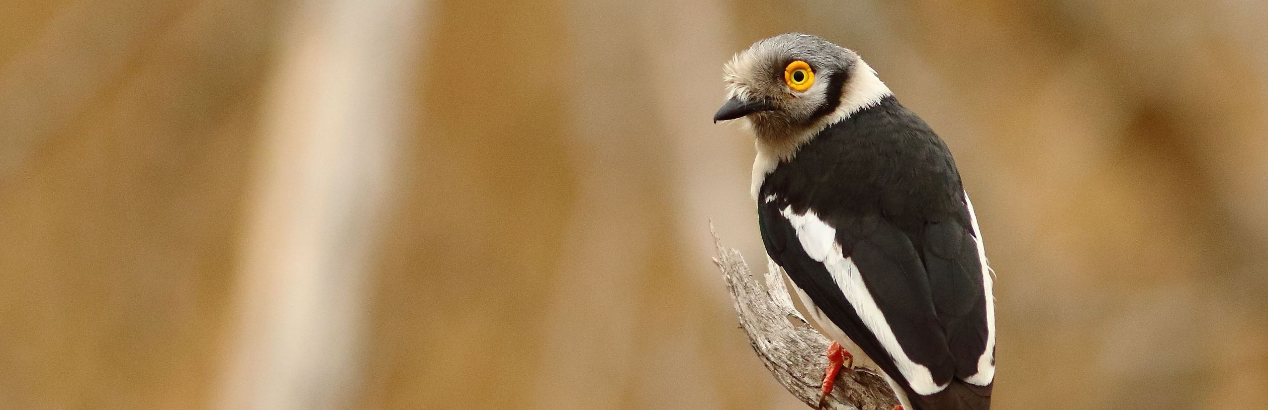 Südafrika Rundreise 2 Wochen