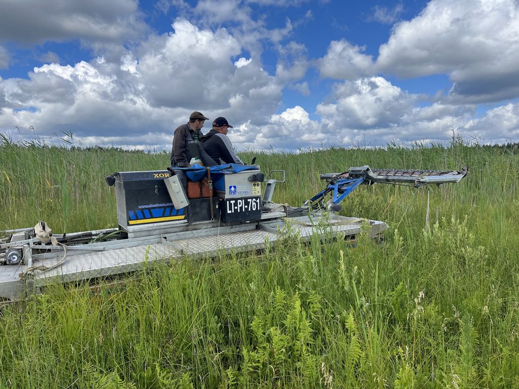 Das ParamelisProjekt in Litauen