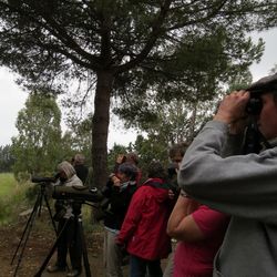 Italien Beobachtergruppe birdingtours Carlo Catoni