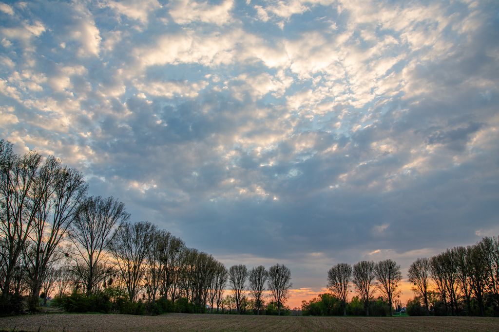 Düsseldorf (S. Schröder-Esch)