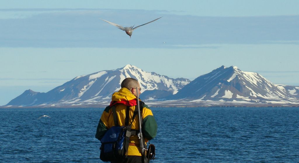 Vogelbeobachtung Spitzbergen Oceanwide Expeditions