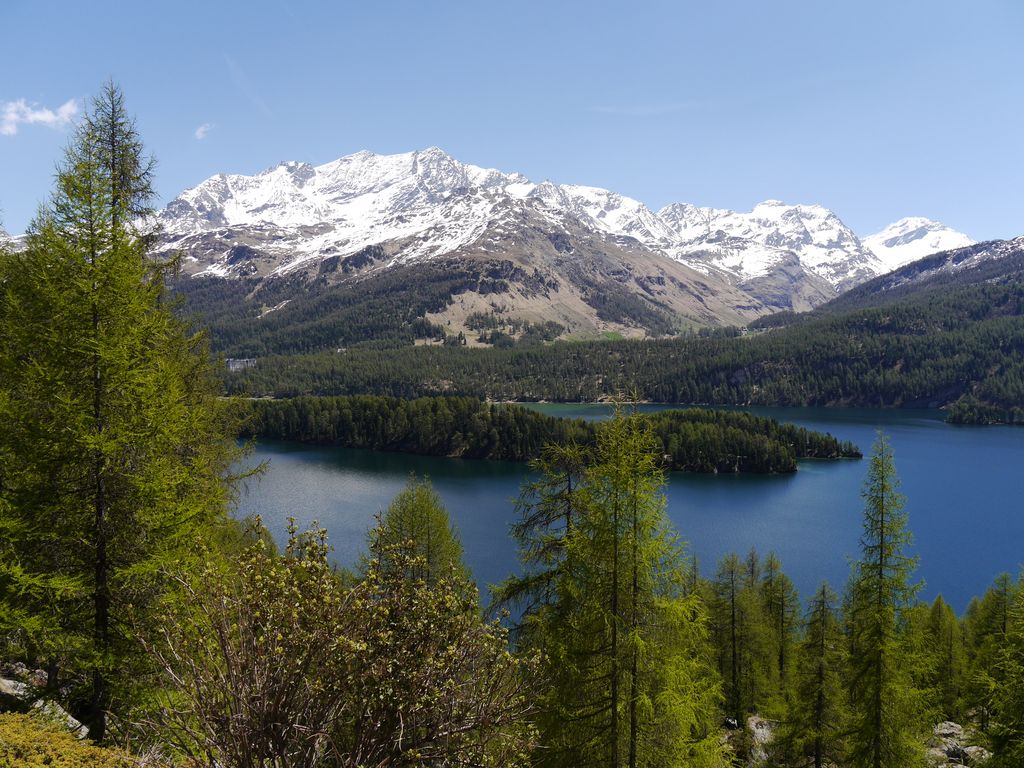 Oberengadin Blick auf den Silsersee Andreas Kofler